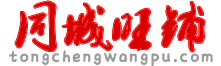 同城旺铺电子商务